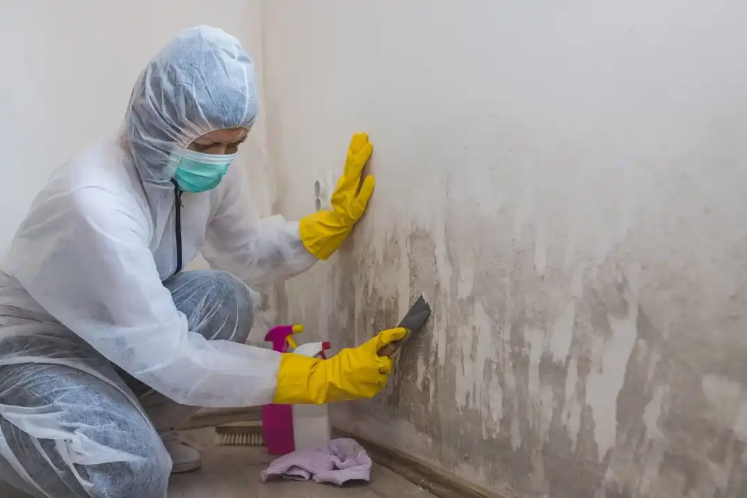 water damage restoration service Colony Bend